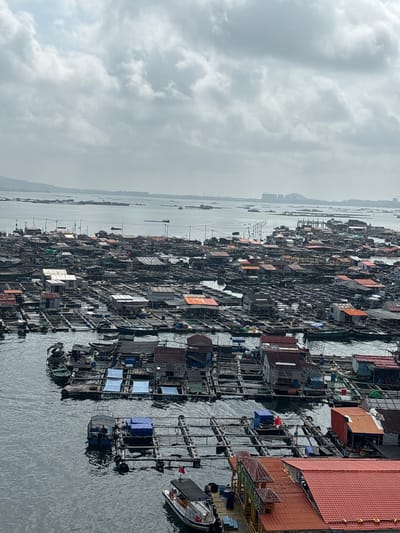 This image captures a densely populated floating village in Xincun, China, likely a fishing community. The village consists of numerous interconnected structures built on rafts or buoyant platforms, floating on a body of water, possibly a bay or river estuary, with a distant shoreline featuring buildings and mountainous terrain under a cloudy sky. The structures are varied in design and construction, ranging from simple, weathered wooden shacks with corrugated metal or fabric roofs to more complex, multi-level dwellings. Many appear to be residential, while others likely serve as workshops, storage areas, or fishing operations.

The water is a dark, choppy grey, reflecting the overcast sky. Numerous small boats, including traditional wooden fishing boats and some larger vessels, are visible, some docked alongside the floating homes, others navigating the narrow waterways between the structures. The overall impression is one of a highly functional, albeit crowded and somewhat ramshackle, community that thrives on the water.

There are no clearly visible individuals in this overview shot, but the sheer density of the housing and the presence of boats suggest an active human population. The structures themselves are the primary subjects, showcasing a unique form of vernacular architecture adapted to a maritime environment. The scene is characterized by its scale and the intricate network of platforms and walkways that connect the various dwellings. The background hints at a more modern, urbanized area on the shore, creating a contrast with the traditional floating village.