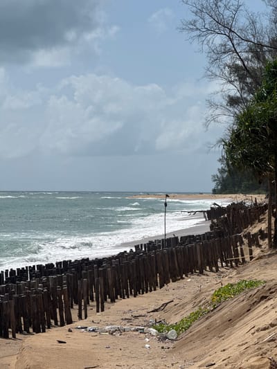 The image depicts a beach in Ban Tha Chat Chai, Thailand, characterized by a shoreline with weathered wooden posts forming a barrier along the sand. The ocean is visible in the background, with moderate waves and whitecaps indicating a breezy day. The sky is overcast with scattered clouds. Vegetation, including palm-like plants and low-lying green growth, is present on the sand dunes. Scattered debris, such as plastic bottles and wrappers, is visible on the beach, particularly near the wooden posts and on the sand closer to the dunes. A single lamppost stands near the water's edge, and a dark-colored bird is perched atop it. The overall scene suggests a coastal area affected by erosion and human presence.