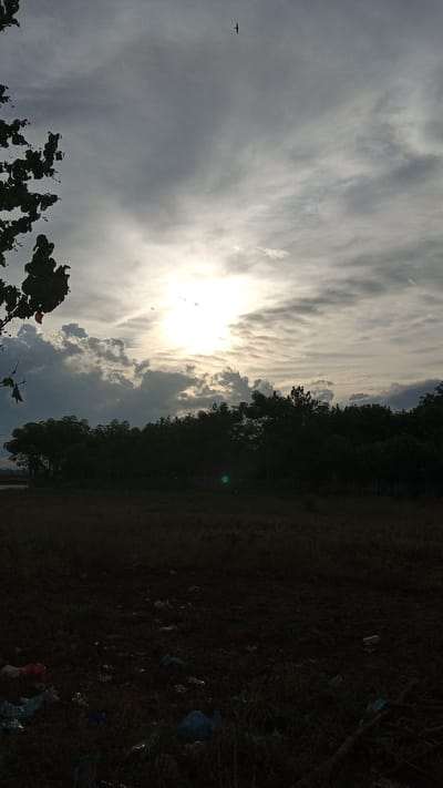 A vertical, low-angle shot captures a cloudy sky with the sun partially obscured, casting a bright glow. In the upper center, a small bird in flight is visible. The horizon is dominated by a dense line of silhouetted trees, their dark foliage creating a stark contrast against the brighter sky. In the foreground, a dark, low-lying field is visible, littered with scattered pieces of trash, including plastic bags and bottles. The overall scene suggests an outdoor environment, potentially a rural or undeveloped area, with signs of environmental pollution. This image was taken in Pasi ie Leubeue, Indonesia.