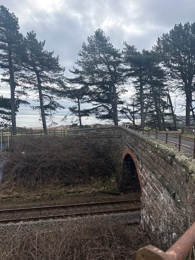 The scene depicts a railway line passing under a stone arch bridge in the coastal area of Braehead of Lunan, United Kingdom. Two parallel railway tracks on gravel ballast run left-to-right beneath the single arch of the bridge, which is constructed from reddish-brown brick around the arch opening and lighter grey-brown hewn stone blocks for the main structure, exhibiting signs of age and weathering including moss and lichen growth.
Above the railway, a steep embankment is densely covered with tangled, bare, dormant thorny bushes and sparse dry grass. A wooden fence line runs along the top of this embankment, partially obscured. The bridge surface carries a paved road, bordered by a brown metal railing on the right side of the frame.
In the midground and background, numerous tall, slender pine trees stand on a rising landscape, many exhibiting a lean consistent with wind exposure. Beyond the trees, a wide expanse of light grey sea is visible, meeting a lighter-colored sandy beach and dunes. The sky is uniformly overcast with grey clouds, providing diffused light. No people or moving vehicles are present in the image. A rusty metal object, possibly a railing component, is partially visible in the bottom right foreground.