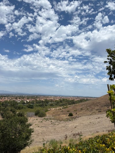 This image captures a scenic view of the city of Irvine, California, USA, from an elevated vantage point. The foreground features dry, golden-brown grasses covering a sloping hillside, interspersed with sparse green vegetation. A large, leafy green tree is positioned on the left side of the frame, with another partially visible tree on the right. In the midground, a dense expanse of green trees forms a contrast with the dry hillside, leading the eye towards the city. The city itself is characterized by numerous residential buildings with terracotta roofs, nestled amongst more greenery. In the distance, a hazy horizon is formed by rolling hills and mountains under a vast sky filled with dramatic, white cumulus clouds against a bright blue backdrop. The overall impression is one of a sunny, temperate day in a suburban landscape adjacent to natural, undeveloped terrain.