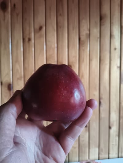 An apple is held in a hand against a wooden plank background. The apple is a deep red color and is round with a slight indentation at the top. The hand holding the apple is light-skinned and appears to be cupped around the fruit. The background consists of vertical wooden planks with a visible grain and knot pattern. There is no discernible indication of the location in Yur'evo, Russia.