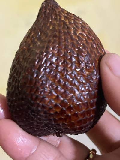 A close-up shot shows a person's hands holding a salak fruit, also known as snake fruit, against a blurred light yellow background. The salak fruit is teardrop-shaped and covered in reddish-brown, scale-like skin. The fingers are visible on the right and bottom of the frame, with a golden ring on the finger at the bottom. The background is indistinct, suggesting an indoor setting. The image does not contain any information about the city of Tambakreja, Indonesia, or any specific environmental details that would place it there.