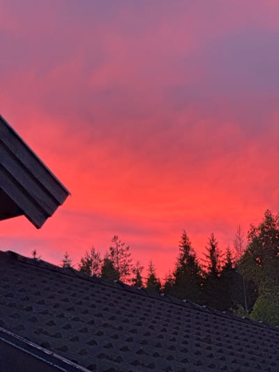 A telephoto shot captures a vibrant sunset over Åmot, Norway. The sky is ablaze with intense red and pink hues, transitioning to purple at the top. Silhouetted against the fiery sky are the tops of coniferous trees, forming a jagged line across the horizon. In the foreground, the dark, textured shingles of a roof are visible, with a dark, angular roofline on the left side of the frame. The scene appears to be a residential area, with the rooftops and trees suggesting a suburban or rural setting. There are no people or discernible actions depicted in the image.