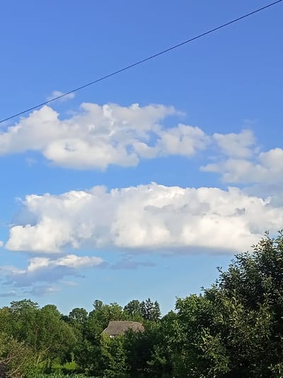 This image captures a serene outdoor scene under a bright blue sky dotted with fluffy white clouds. A thin, dark line, likely a power line, stretches diagonally across the upper portion of the frame. Below the sky, a dense canopy of lush green trees forms a thick border across the lower half of the image. Peeking through the trees, a small, quaint house with a tiled roof is visible, suggesting a rural or semi-rural setting. The vibrant green foliage indicates it is likely daytime during a warmer season, possibly spring or summer. The overall impression is one of peacefulness and natural beauty. There is no visible text in the image.