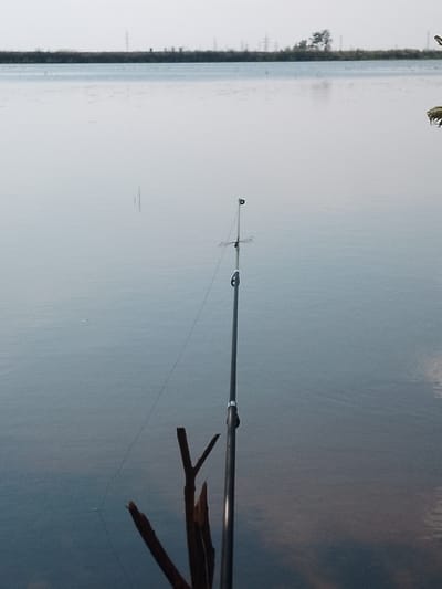 An eye-level, medium shot captures a fishing rod planted vertically in the foreground, angled slightly to the right. The rod is dark and appears to be made of carbon fiber, with a visible guide ring. A thin fishing line extends from the rod, disappearing into the calm, overcast water. At the base of the rod, several pieces of dark, rough wood are submerged, suggesting a makeshift fishing setup.
The background shows a wide expanse of still water, reflecting the pale, hazy sky. In the distance, a dark, thin line of trees and vegetation forms the horizon, punctuated by several tall, industrial-looking towers. The overall atmosphere is serene and quiet, typical of a lakeside or riverbank scene. The location is identified as Zenkovo, Russia. No people are visible in the frame.