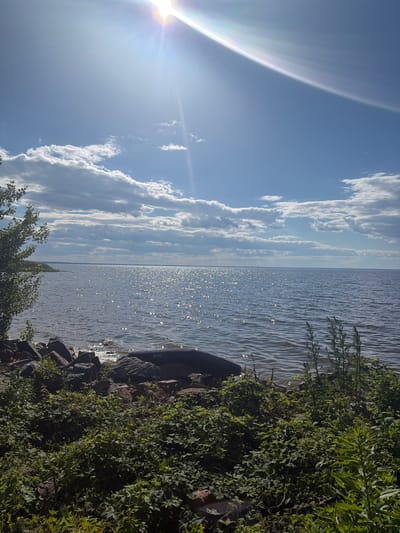 The image depicts a tranquil scene at the Kyiv Reservoir in Lebedivka, Ukraine. The sun, a bright lens flare in the upper portion of the frame, casts a shimmering, dappled light across the expanse of the reservoir's rippling water. The horizon is marked by a faint line where the water meets a distant shore under a sky filled with scattered, fluffy white clouds against a clear blue backdrop.

The foreground of the image is a rocky shoreline covered in lush green vegetation. Large, dark stones are scattered along the bank, some partially obscured by the dense foliage. A dark, elongated object, possibly an inflatable raft or kayak, rests on the rocks near the water's edge. The vegetation consists of various shades of green, with some taller plants reaching upwards. A single tree with green leaves stands on the left side of the frame, its branches extending towards the water. The overall impression is one of a serene, natural landscape on a sunny day.