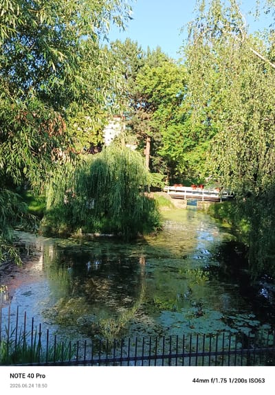 The image shows a serene natural scene in Gołków, Poland, likely during a sunny day with clear skies. The foreground features a dark metal fence, beyond which lies a tranquil pond covered in green algae and lily pads. The water reflects the surrounding lush vegetation.

The central focus is a dense weeping willow tree dominating the mid-ground, its long, drooping branches creating a curtain of green. Behind the willow, a quaint white wooden bridge spans a narrow waterway, adorned with red potted flowers. The bridge serves as a clear man-made element in the otherwise natural setting.

The background is filled with a variety of trees, including evergreens and deciduous trees with vibrant green foliage. Hints of buildings can be seen peeking through the trees, suggesting the pond is located near a residential area or park. The sunlight casts dappled shadows, indicating it's likely late afternoon.

Visible text at the bottom left reads "NOTE 40 Pro" and "2026.06.24 18:50," identifying the device used for the photograph and the date and time it was taken. On the bottom right, the text "44mm f/1.75 1/200s ISO63" provides technical photographic details. The overall mood of the image is peaceful and idyllic, capturing the beauty of a summer day in a verdant landscape.