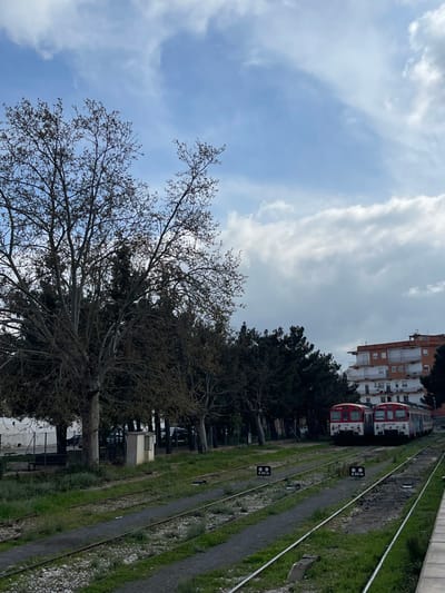 The image displays a railway area in Buñol, Spain, under a partially cloudy daytime sky. In the foreground and midground, several parallel railway tracks with gravel ballast and sparse green vegetation are visible. Two black and white rectangular railway signs, each indicating "A 80 m," are positioned upright between different sets of tracks. To the left, a large deciduous tree with predominantly bare branches and nascent leaf buds stands prominently, flanked by a dense line of darker evergreen trees. A metal chain-link fence runs along the treeline, and a small, light-colored utility box is situated near the fence. In the background to the right, two identical Renfe commuter trains, colored red, white, and grey, are stationary on a track. Behind the trains, a multi-story residential building with light-colored walls and terracotta-colored balconies/trim is visible. No people are present in the scene.