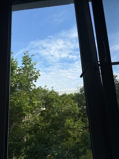 A medium-shot, outdoor photograph captured through an open window frame shows a view of a bright blue sky with scattered white clouds. In the foreground, lush green trees with dense foliage dominate the lower half of the frame, obscuring much of the background. Towards the upper center of the image, a white, multi-story building with numerous windows is visible above the treeline. The window frame, dark and silhouetted, partially obstructs the view.