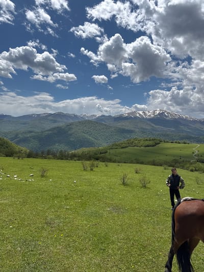 The image captures a scenic landscape in Haghartsin, Armenia. A person stands next to the rear of a brown horse, both positioned on a vast, vibrant green field. The field is dotted with small shrubs and scattered white debris. Behind the field, a mountain range rises, its slopes covered in lush green forests with patches of snow visible on the higher peaks. The sky above is a brilliant blue, filled with puffy white clouds. A dirt road is visible winding through the landscape.