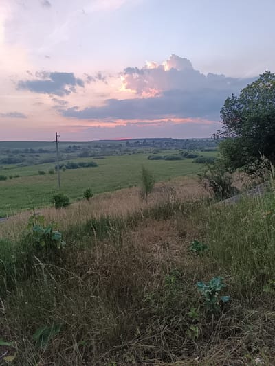 This image depicts a rural landscape at sunset, likely in the vicinity of Lozova, Ukraine. The foreground is dominated by tall, dry grasses and some green foliage, with a large leafy plant on the left. Beyond this, a gently sloping green field stretches into the distance, dotted with small trees and bushes. A solitary utility pole stands prominently in the middle ground. Further back, a village with several buildings is visible nestled among trees, under a sky painted with soft pinks, purples, and oranges, indicative of sunset. Large, dramatic clouds, some illuminated by the setting sun, fill the upper portion of the frame, contrasting with the lighter sky above. A dense cluster of trees on the right side of the image frames the scene. The overall impression is one of a peaceful, pastoral evening.