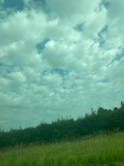 The image depicts a rural landscape in Märja, Estonia. The foreground is dominated by a field of green grass, with the stalks appearing somewhat blurred, suggesting motion or wind. Behind the grass is a dense line of dark green trees and shrubs, forming a natural border. Above this line of vegetation, the sky is filled with a mixture of white and grey clouds, interspersed with patches of blue. The overall lighting suggests it is daytime, possibly overcast with some breaks in the clouds. There are no people or specific buildings visible in the scene.