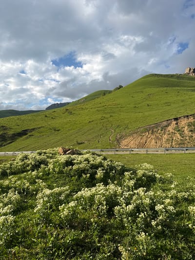 The image depicts a lush green mountain slope in Верхняя Мара, Russia. The scene is dominated by rolling hills covered in vibrant green grass, with a clear path winding its way up the incline. To the right of the slope, a dense cluster of white wildflowers bursts with life, their delicate blooms contrasting with the surrounding greenery. A metallic guardrail runs along the edge of the mountain, separating the grassy slope from the flower-filled meadow. The sky above is a mix of soft, fluffy white clouds and patches of bright blue, suggesting a pleasant, partly cloudy day. The sun appears to be shining, casting a warm glow on the landscape. The overall impression is one of natural beauty and tranquility, with the gentle curves of the mountains and the vibrant colors of the flora creating a serene and inviting atmosphere. There is no visible text in the image.