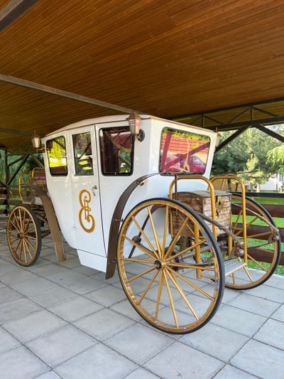 A white carriage with golden trim and wheels is parked under a wooden canopy. The carriage has large windows and intricate golden lettering on its side. The wheels are large and spoked, with black tires. Behind the carriage, a wooden fence and trees are visible. The ground is paved with square tiles. There are no people visible in the image.