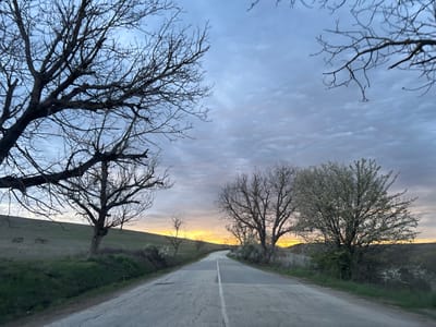 The image depicts a cracked asphalt road with a single white dividing line running through it. The road leads uphill toward the horizon. On either side of the road are fields with trees. Some trees are bare, while others have white blossoms. The sky is overcast with a yellow-orange glow on the horizon. The location is Suhache, Bulgaria.