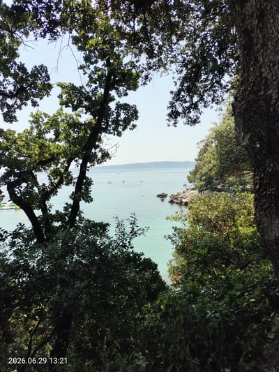 The image depicts a view of the Adriatic Sea from a wooded area on the island of Krk, Croatia. The foreground is dominated by lush green foliage and the rough bark of a large tree on the right side. In the middle ground, the turquoise waters of the sea are visible, dotted with several small boats and a few people swimming or engaging in water sports. A rocky shoreline with more trees lines the edge of the water. The background shows a hazy coastline with hills. The date stamp "2026.06.29 13:21" is visible in the bottom left corner.
