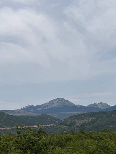 This is a vertical, medium-distance shot of a mountainous landscape in Vidrovan, Montenegro, under a cloudy sky. In the foreground, a dense forest of lush green trees dominates the lower third of the image. Behind the forest, the mid-ground reveals rolling green hills dotted with smaller trees and vegetation. A distinct reddish-brown scar, likely a road or quarry, cuts horizontally across the middle of these hills. Further in the background, a range of larger mountains rises, their peaks bare and rocky, showing patches of lighter grey and white against the muted blue of the distant haze. The sky is overcast with soft, greyish-white clouds, obscuring any direct sunlight. There are no people or animals visible in the scene.