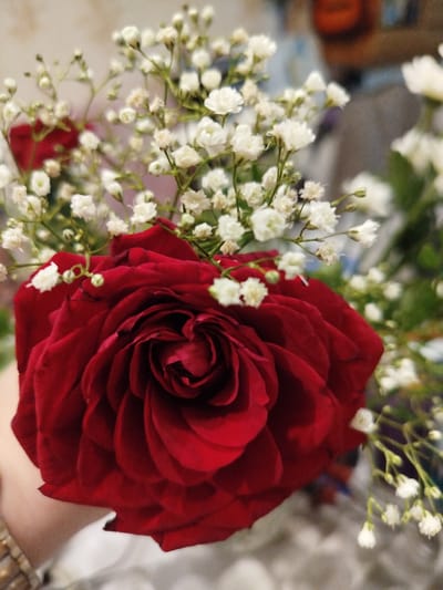 The image shows a close-up of a red rose with baby's breath flowers. The rose is in full bloom with deep red petals. The baby's breath flowers are small and white, creating a delicate contrast with the rose. The background is softly blurred, suggesting an indoor setting. There is a hint of a person's arm and bracelet on the left side of the image, indicating the flowers are being held. The image is well-lit, highlighting the texture and color of the flowers. There is no information available to associate this image with Borken, Germany.