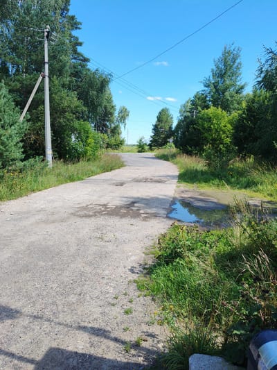 The image shows a dirt road curving through a rural area with dense green trees and vegetation on both sides under a clear blue sky. A utility pole with wires is visible on the left side of the road. There is a large puddle of water on the right side of the road, reflecting the sky and surrounding greenery. The road surface appears worn and uneven, with patches of gravel and some damp areas. The overall scene suggests a quiet, undeveloped or semi-developed location, consistent with the outskirts of a town like Sosnovyy Bor, Russia. There are no people or animals visible in the image.