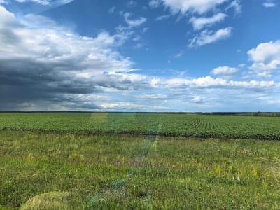 A wide-angle shot captures a vast agricultural landscape under a dynamic sky in Severnyi, Russia. The foreground is dominated by a meadow of tall, green grass, interspersed with wildflowers, creating a textured, natural boundary. Beyond this meadow lies an expansive field of crops, likely sunflowers given their dense, uniform planting in neat rows, stretching towards the horizon. The crops appear lush and healthy, a vibrant green against the darker earth.

The sky is a prominent feature, a dramatic interplay of light and shadow. Dark, heavy clouds gather on the left, suggesting an approaching storm or recent rain, while the right side of the sky opens to a bright blue expanse dotted with fluffy white cumulus clouds. Sunlight filters through in some areas, creating shafts of light that illuminate the scene. The overall impression is one of a natural, rural setting, likely taken during the daytime, possibly late afternoon, given the contrast in the sky. There are no people or man-made objects clearly visible, emphasizing the vastness of nature. The scene evokes a sense of open space and the ongoing cycle of growth and weather.