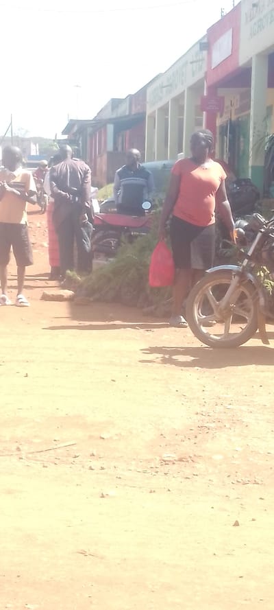 This image depicts a bustling street scene in Chemuche ward, Kenya, under bright daylight. The foreground features an unpaved, light brown dirt road with scattered small debris. On the immediate right, the front wheel and fender of a motorcycle are visible. To the left of this, a woman wearing an orange t-shirt and dark shorts walks from right to left, carrying a red plastic bag in her left hand.
In the mid-ground, a red motorcycle, possibly a Boda Boda, is heavily laden with green foliage or branches, parked beside the dirt road near a row of single-story commercial buildings. A man in a blue and white striped long-sleeved shirt stands near this motorcycle, facing left. Further to the left, another man, seen from behind in a dark brown long-sleeved shirt, stands next to a woman in a striped garment. To their left, a young male in a light orange t-shirt and dark shorts, wearing white sandals, stands facing right.
The background consists of a row of shops with corrugated iron roofs and painted facades. Visible signs on these shops include "OSBOS AGROVET LTD" and "YAKIMA AGROVET," indicating agricultural supply businesses. The buildings feature white columns and colored walls, predominantly red and white. Distant structures and the horizon are blurred under a bright sky, suggesting an open and sunny environment. Several shadows are cast on the ground, indicating direct sunlight from the upper right. Numerous individuals are visible in the background, walking or standing, suggesting a busy commercial area.