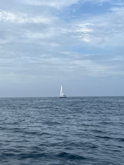 The image displays an open ocean scene approximately offshore from Port Kembla, Australia. The sky occupies the upper one-third of the frame, showing an overcast condition with a mix of light blue and grey stratocumulus clouds. The lower two-thirds of the image features the ocean, characterized by dark blue-grey water exhibiting numerous small waves and ripples. A single white sailboat is visible in the middle distance, positioned slightly right of the frame's vertical center, directly on the horizon line. The sailboat has a white hull and a single white main sail hoisted, indicating it is actively under sail. No individuals are discernible on board the vessel or in the foreground.