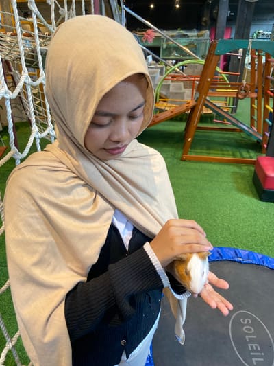 In Rengat, Indonesia, a young woman wearing a beige hijab and a black cardigan over a white shirt is shown holding a guinea pig. The guinea pig is white and brown and is being held in her hands. She appears to be looking down at the animal with a gentle expression. The background features a playground structure with colorful elements and a green turf floor. A trampoline with the word "SOLEIL" printed on it is partially visible in the foreground. A rope net structure is to the left of the woman. The overall setting suggests an indoor recreational area or a pet-friendly establishment.