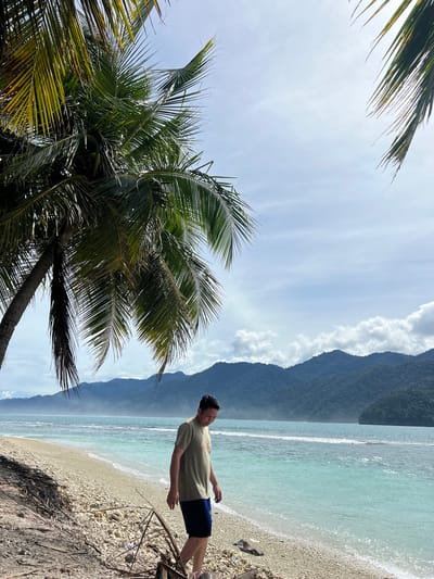 A man walks along a pebble beach in Babahie, Indonesia. The man is wearing a light green t-shirt and dark blue shorts. He is looking down as he walks. A tall palm tree with green fronds is to the left of the frame, casting a shadow on the beach. In the background, the turquoise ocean meets the shore, with a line of white surf. Beyond the ocean, lush green mountains rise up against a cloudy sky.