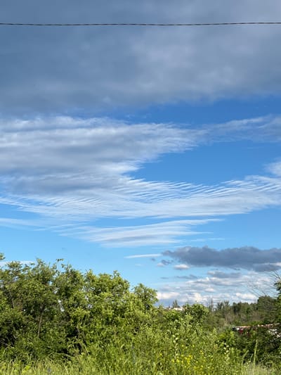 A medium-shot, eye-level, outdoor photograph captures a serene daytime scene with a vast expanse of sky dominating the upper portion and lush green foliage in the foreground. A thin, dark horizontal line, possibly a power line or wire, stretches across the top of the frame. The sky is a vibrant blue, adorned with layers of dynamic white and grey clouds. Towards the lower part of the sky, wispy, textured clouds create an impression of movement and depth. The lower half of the image is filled with dense, verdant greenery, including trees with full, leafy canopies and tall, wild grasses. Small yellow flowers are scattered within the grasses in the lower right quadrant. In the distance, beyond the immediate greenery, hints of man-made structures and trees are visible, suggesting a suburban or semi-rural environment. The overall impression is one of natural beauty under a dynamic sky. The location is Shyroka Dacha, Ukraine.