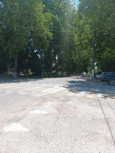 This is a daytime, outdoor, eye-level photograph taken on a sunny day. The scene depicts a paved road in Krymsk, Russia, lined with mature trees on the left and right. A pedestrian crossing is visible in the foreground, marked by white stripes on the asphalt. Beyond the crossing, the road curves gently to the right, disappearing into the distance. Several cars are parked along the right side of the road, including a dark sedan, a white car, and a reddish-orange car. A utility pole with some equipment attached stands near the parked cars. The trees form a dense canopy, casting shadows on the road and creating a dappled effect. The sky is visible between the leaves, appearing bright blue. The overall impression is of a quiet, residential street on a pleasant day. There is no visible text in the image.