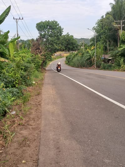An outdoor, eye-level, vertical shot captures a road curving through a lush, green, tropical environment. A person on a scooter travels along the road, their back to the camera, wearing a patterned garment and a white head covering. The road is asphalt with a distinct white line marking its edge, and a thinner yellow line dividing the lanes. On the left side of the road, dense foliage with large, green leaves dominates the foreground, interspersed with dry grass and dirt. On the right side of the road, more trees and vegetation line the curve, with a utility pole visible in the background. The sky is overcast with scattered clouds. The scene is likely a rural road in Seuneubok, Indonesia, characterized by its abundant tropical greenery.