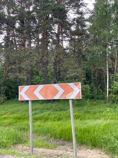 The image shows a vertical, rectangular road sign with orange and white chevron arrows pointing downwards. The sign is mounted on two horizontal metal bars. Behind the sign is a forest with various trees and green foliage. To the right of the sign, there is a grassy area and a dirt path. The location is Semyonovskoye, Russia.