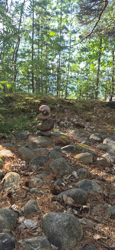 A cairn, composed of four stones stacked vertically, is centrally located in a wooded area near the city of Motornoe, Russia. The stones vary in size, with the largest at the bottom and the smallest, rounded stone at the top, which resembles a lump of brown clay. The cairn rests on a bed of pine needles and fallen leaves, interspersed with smaller rocks.
The surrounding environment is a dense forest with tall, slender trees, their trunks appearing brown and thin. Sunlight filters through the canopy, creating dappled patterns on the forest floor and the moss-covered ground. The background reveals a distant body of water, likely a lake or river, shimmering under the bright sky. The overall impression is one of a natural, undisturbed setting.