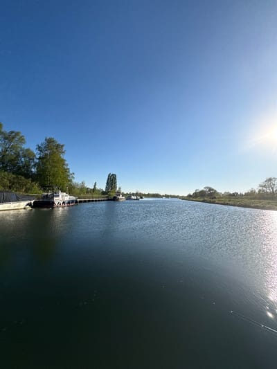 The image displays a tranquil, sunny scene along a waterway in Lier, Belgium. The upper portion of the frame (when rotated) shows a vast, clear blue sky, with the bright sun positioned in the top right corner, casting a strong glare across the water.
The lower right half of the image is dominated by the waterway itself, which appears dark greenish-blue. Its surface is covered with numerous small ripples, creating sparkling reflections from the sunlight. Along the opposite bank, visible on the left side of the frame, there is a lush, tree-lined strip of land. Various trees with green foliage populate this bank, with a prominent tall, slender tree standing out among them.
Several boats, appearing to be barges or houseboats, are moored alongside a dock or walkway that runs along the bank. These vessels vary in size and structure, some showing visible cabins. The scene is devoid of people, contributing to a sense of peacefulness and quiet. The bright, cloudless sky and the intense sun suggest it is midday or early afternoon, under pleasant weather conditions. There is no visible text in the image.