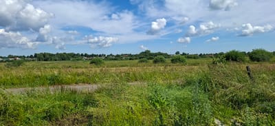 This is a panoramic, eye-level, outdoor, daytime photograph of a rural landscape under a partially cloudy sky. The scene depicts a mowed or field area in the foreground with tall, green grass and some dried stalks of grain. A narrow, paved path or road cuts horizontally across the middle ground of the image. Beyond the path, the landscape transitions into a more cultivated area with scattered bushes and trees. In the far distance, a village or settlement is visible, characterized by small houses with red or dark roofs, surrounded by dense green trees. The sky is a vibrant blue with scattered white, fluffy cumulus clouds, suggesting fair weather. The overall impression is one of a peaceful, rural setting in Belarus, likely during the summer months due to the lush greenery. There are no people or specific objects, other than the natural elements and the distant village, that draw attention. The scene evokes a sense of tranquility and natural beauty. No text is visible in the image.