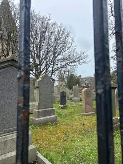 This eye-level, medium shot, viewed through a corroded metal fence, depicts a graveyard. The foreground is dominated by the fence, its dark metal bars obscuring parts of the view. Beyond the fence, several tombstones are visible, varying in size and shape. One of the larger, more prominent tombstones features etched inscriptions, including the name "ALEXANDER HOSIE" and dates. Moss grows on some of the surfaces, suggesting a humid climate. A leafless tree stands behind a number of tombstones. In the background, buildings with red roofs and white windows are visible in Aberdeen City, United Kingdom. The sky is overcast.