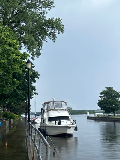 This is a medium shot, eye-level, vertical photograph of a canal on a cloudy day. On the left, a wet wooden walkway is bordered by lush green trees and a black lamppost. A railing separates the walkway from the canal. Several boats are docked on the right side of the canal, the most prominent being a white motor yacht with a canvas cover. The canal leads to a wider body of water in the distance, with trees lining the far bank. This scene is located in Sainte-Anne-de-Bellevue, Canada.