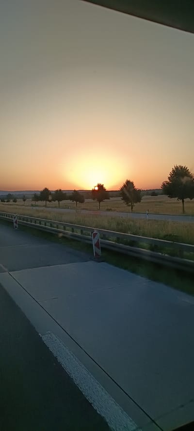 The image depicts a rural highway scene at sunset. The sun is partially obscured by trees on the horizon, casting a warm glow across the sky, which transitions from a pale orange near the horizon to a soft yellow and then a light gray at the top. A line of trees is visible in the middle ground, spaced along a field of dry grass. A highway with a guardrail runs along the left side of the image, and traffic cones with red and white diagonal stripes are placed along the roadside. The foreground shows a portion of the highway pavement. The overall environment suggests a tranquil, end-of-day setting in a German landscape. While the location is identified as Sankt Leon, Germany, there are no specific landmarks or features within the image that confirm this location. There are no people or animals visible in the scene.