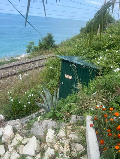 The image depicts a scene near the Black Sea coast in Tsandrypsh, Abkhazia, with a focus on a small, green outhouse situated amongst lush vegetation. Railway tracks run parallel to the coast in the background, with a few people visible near the water's edge. The outhouse has a sign that reads "Туалет 50р," indicating it is a toilet and the cost to use it is 50 Russian rubles. In the foreground, there are rocks and a variety of plants, including agave and marigolds, suggesting a somewhat overgrown and natural setting. Palm fronds are visible at the top of the frame, hinting at the region's subtropical climate. The overall impression is of a rustic and somewhat untamed coastal environment.