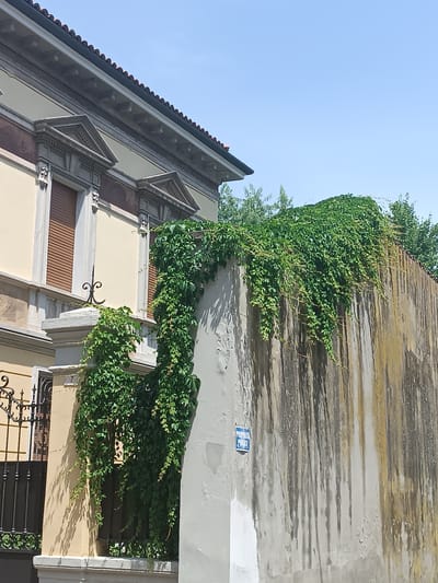 In the city of Casalmaggiore, Italy, a scene unfolds featuring a building and a wall. The building, with its light yellow facade and decorative elements, has two visible windows with closed brown shutters. A dark metal gate is partially visible to the left. Lush green ivy cascades over a rough, weathered concrete wall that dominates the right side of the frame. This wall exhibits streaks of discoloration, appearing as vertical lines of brown and yellow, suggesting age and exposure to the elements. A small, blue rectangular sign with white text, likely indicating private property, is affixed to the wall. The sky above is a clear, bright blue.