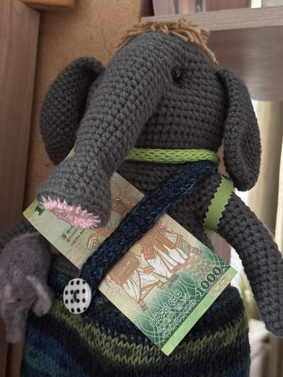 A crocheted gray elephant toy with a One Thousand Sri Lankan Rupee note in its "trunk" area is featured in this close-up image. The elephant is on its side, and a small button with black polka dots is visible to the side of the bill. Parts of the toy are also embellished with green knitted details. The scene does not resemble the city of Ketoshi, Russia, nor any city.