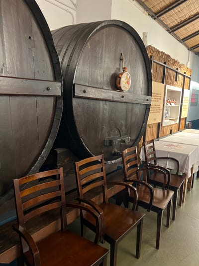 An interior view depicts two large, dark-stained wooden barrels on wooden stands, occupying the left and central portions of the scene in Coruche, Portugal. The barrel on the right features a brass spigot near its base and a multicolored ceramic flask suspended by a cord on its face. In front of these barrels, a row of six empty dark brown wooden chairs with slatted backs and armrests is arranged. To the right, multiple tables covered with white tablecloths are visible. The background wall is paneled with thatched or reed material, displaying informational posters with Portuguese text and a white alcove containing small, colorful bird figurines and other items. The ceiling is also constructed from similar thatched or reed material. No individuals are present.