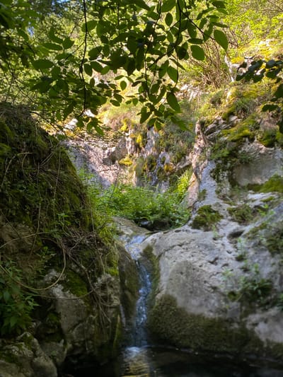 The image depicts a natural scene within the city of Niška Banja, Serbia. It shows a small waterfall cascading over moss-covered rocks. Lush green foliage hangs from branches overhead, casting dappled sunlight onto the scene. The environment is characterized by rocky terrain, vegetation, and flowing water, suggesting a serene, untouched natural landscape.