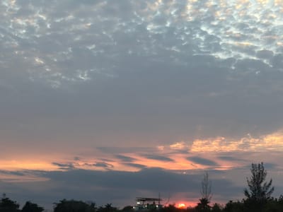 The image depicts a sunset in Tampico, Mexico. The sky is filled with altocumulus clouds, ranging in color from gray to orange. The sun is setting below the horizon, partially obscured by trees. There is a structure with lights illuminated behind the treeline. The environment is a mix of urban and natural elements. There are no people visible in the image.