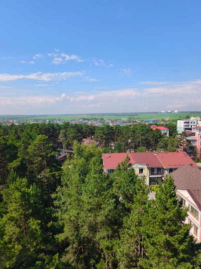 This is an outdoor, eye-level, medium-shot photograph taken on a sunny day. The scene is a landscape view of a suburban or rural area with abundant trees and buildings.

In the foreground, lush green pine trees dominate the frame, with their branches reaching upwards and creating a dense canopy. Some of the trees are tall and mature, while others appear younger. The sunlight filters through the leaves, casting dappled shadows.

Peeking through the trees are the rooftops of houses and buildings. Several structures have red tile roofs, and one larger building in the mid-ground has a yellow facade with a prominent red roof and balconies. Further in the distance, more buildings with various colored roofs are visible, suggesting a residential area.

Beyond the cluster of buildings and trees, a large, flat green field stretches towards the horizon. In the far distance, there are a few industrial-looking structures, possibly factories or power plants, with white roofs. The sky above is a clear, vibrant blue with scattered white, wispy clouds.

The overall impression is one of a peaceful, sunny day in a location that combines natural forest with human habitation. The time of day appears to be late morning or early afternoon, given the bright sunlight and clear sky. No people are visible in the image, nor is any text. The location is identified as Shigaevo, Russia.