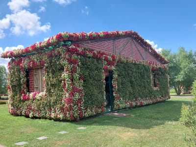 The image depicts a building in Kovalivka, Ukraine, that is extensively decorated with hanging plants and flowers. The building itself appears to be constructed of red brick, with visible wooden beams forming a gable on the roof. The walls are almost entirely covered by a dense layer of green foliage, interspersed with cascades of pink and white flowers. The roofline is also adorned with rows of potted plants, featuring similar red and white blooms. There is a visible doorway with a green frame, and two windows with wooden shutters are partially obscured by the vegetation. The building sits on a well-maintained lawn, with stone stepping-stones leading towards the entrance. In the background, trees are visible, suggesting a park or garden setting. The sky above is blue with scattered white clouds. There are no people visible in the image.