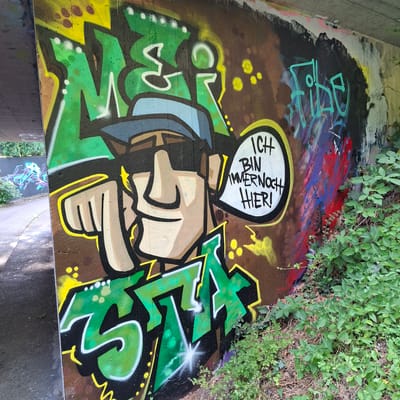The image shows a section of a concrete wall covered in colorful graffiti. The graffiti features a cartoonish fist pointing forward, with a speech bubble above it containing the German text "ICH BIN IMMERNOCH HIER!" which translates to "I AM STILL HERE!". The fist is depicted with a light skin tone, a dark outline, and a yellow mustache. Surrounding the fist and speech bubble are abstract shapes and lines in bright green, yellow, and brown spray paint. Green foliage from plants grows along the top and right edges of the wall, partially obscuring some of the graffiti. The overall impression is one of urban art and a declaration of presence. The lighting suggests it is daytime, with the sun casting shadows on the lower part of the wall, indicating an outdoor location. The concrete wall appears to be part of a bridge abutment or underpass.