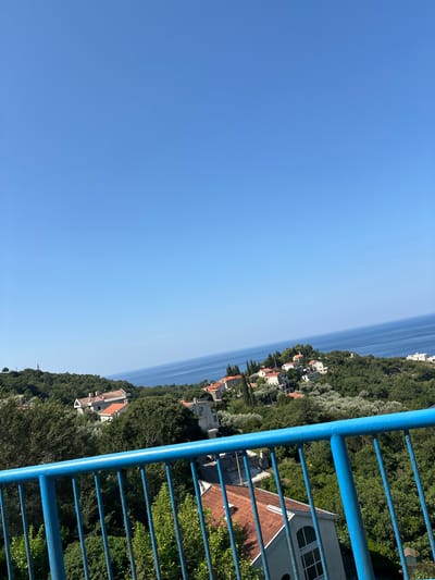 A high-angle, full shot captures a coastal village nestled amidst lush green trees under a clear blue sky. In the foreground, a bright blue metal railing runs horizontally across the frame. Beyond the railing, a cluster of white buildings with terracotta roofs are scattered across a hillside, with some structures peeking through the dense foliage. The village appears to be situated on the coast, as the deep blue of the Adriatic Sea stretches to the horizon, meeting the sky in a seamless line. The scene suggests a peaceful, sun-drenched day in a picturesque Montenegrin setting, likely in or near the area of Rijeka Reževići. No people are visible in the image.