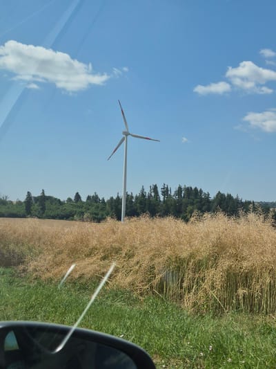 The image depicts a pastoral scene with a solitary wind turbine prominently positioned in the center. The sky is a clear, bright blue, dotted with a few wispy white clouds. The wind turbine, a modern white structure with three blades, stands tall against the sky. The landscape in the foreground features a field of tall, dry, yellow grass, likely a harvested crop such as rapeseed, giving a golden hue to the lower half of the image. Beyond the field, a dense line of dark green trees forms a natural backdrop. The photo appears to have been taken from inside a vehicle, as evidenced by reflections on a glass surface in the lower part of the frame, suggesting a roadside perspective. The scene is set in Zettingen, Germany, a location known for its rural environment and agricultural landscape.